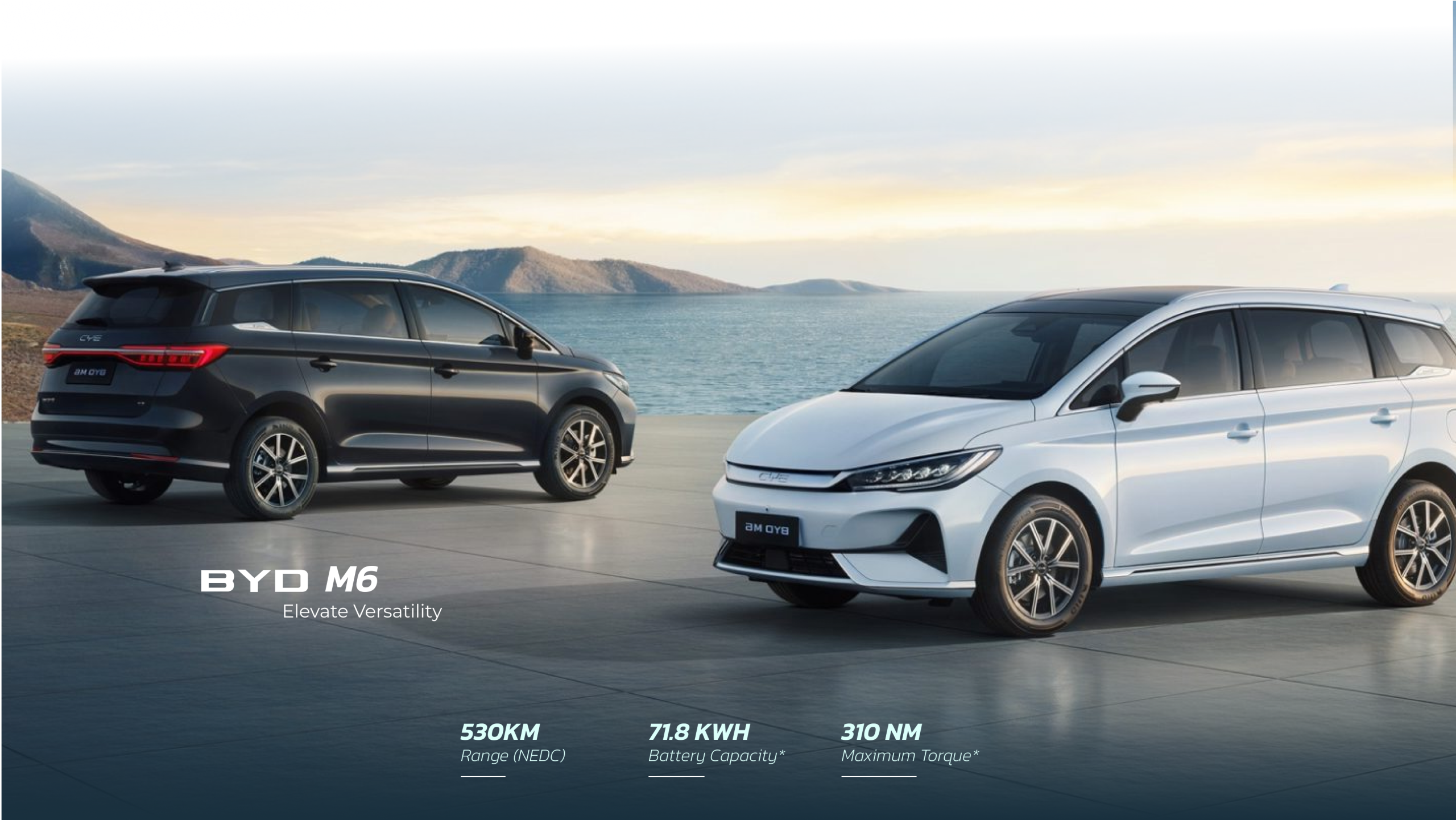 BYD M6